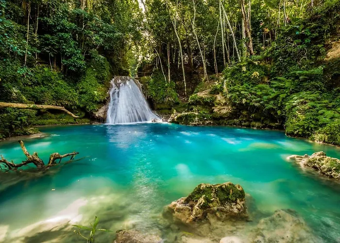 Hotel Moon Palace Jamaica